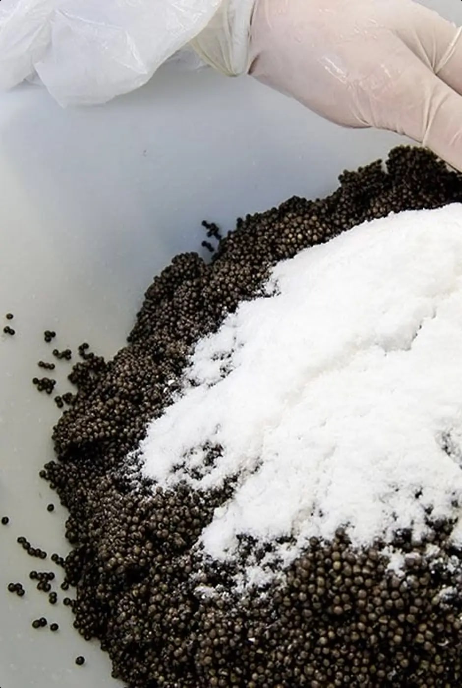 Fresh caviar pearls being combined with salt