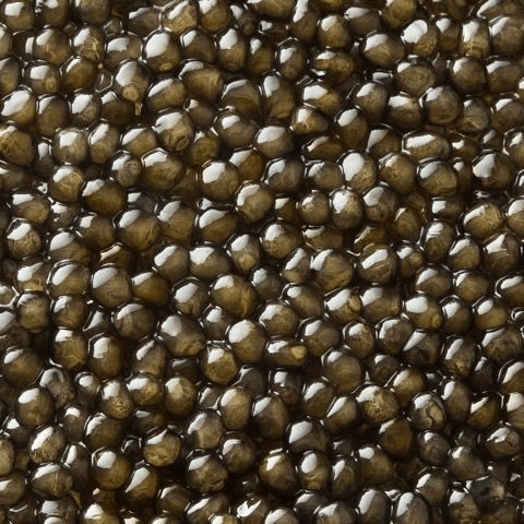 Close view of selected Maison Rocheval caviar pearls